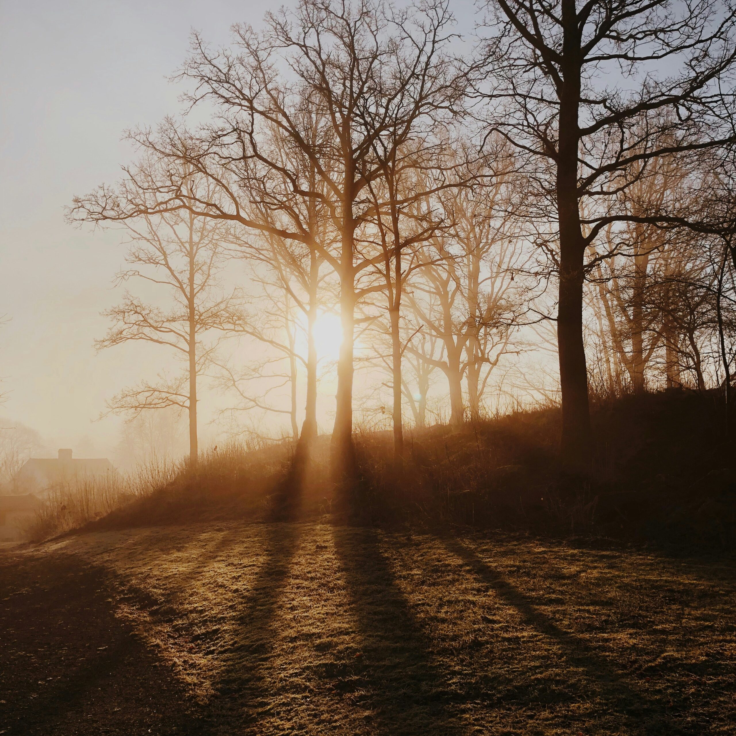 Is The Bad Smell Of Urine In The Morning A Sign Of A Medical Condition?