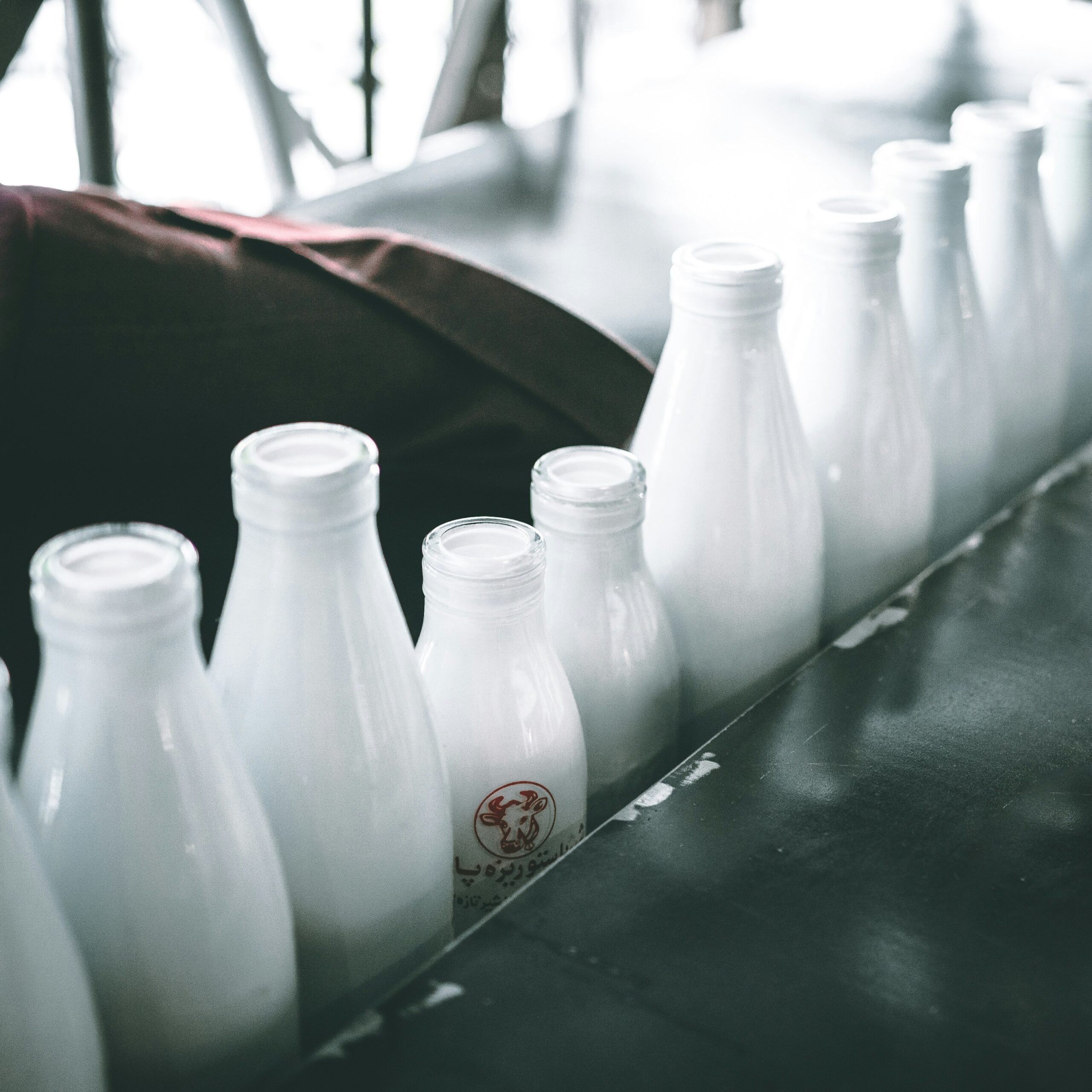 Does Consuming Dairy Products Affect The Smell Of Morning Urine?