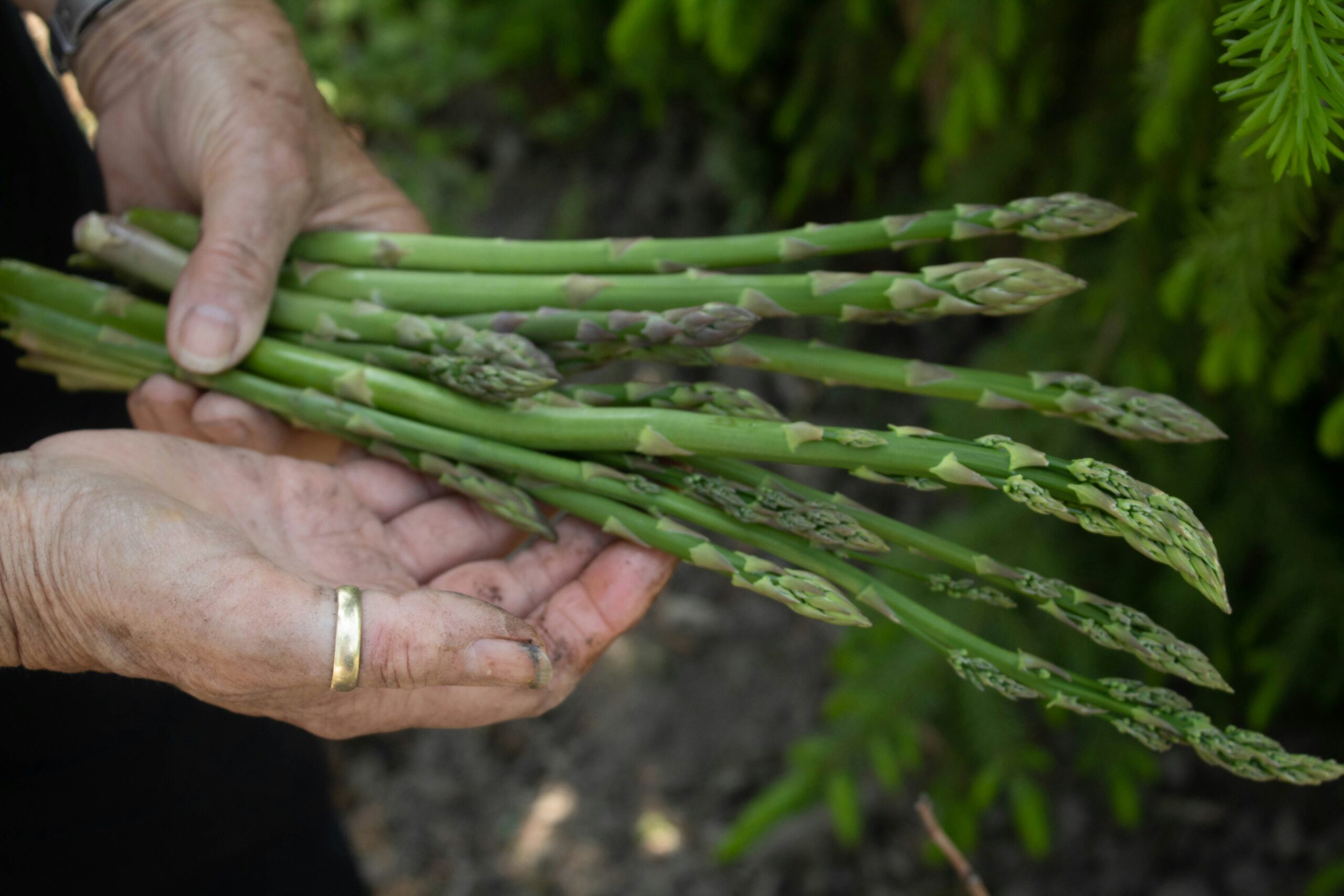 Are There Specific Foods That Can Cause Strong-smelling Urine?